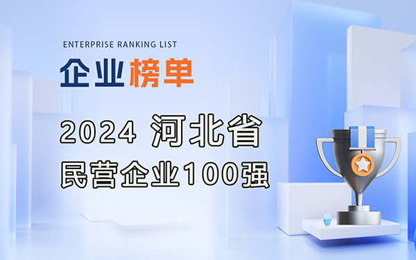 2024 河北省民營(yíng)企業(yè)100強(qiáng)